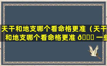 天干和地支哪个看命格更准（天干和地支哪个看命格更准 🍁 一些）